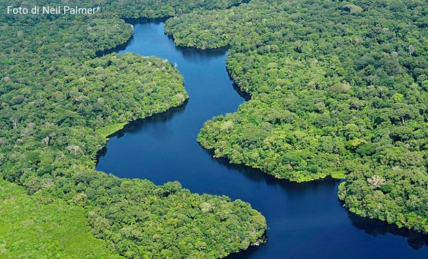 La protezione della biodiversità al centro del messaggio dei vescovi per la Giornata del Creato